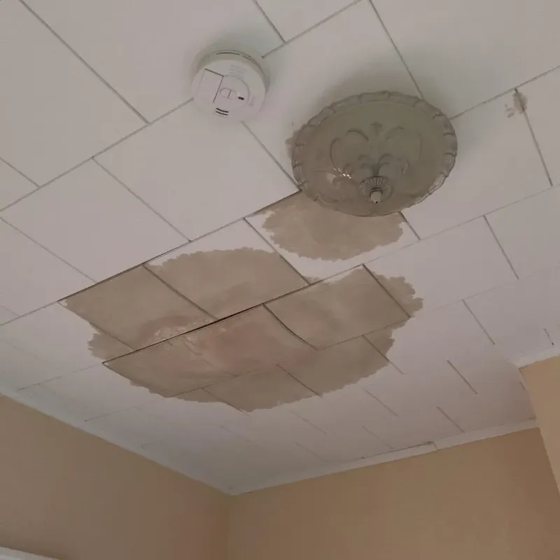 Ceiling Water Damage Repair in Ballard County, KY