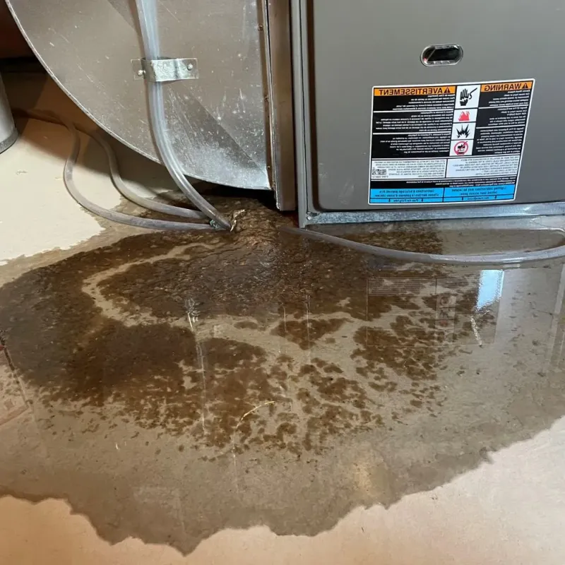 Pipe Burst and Leak Restoration in Ballard County, KY