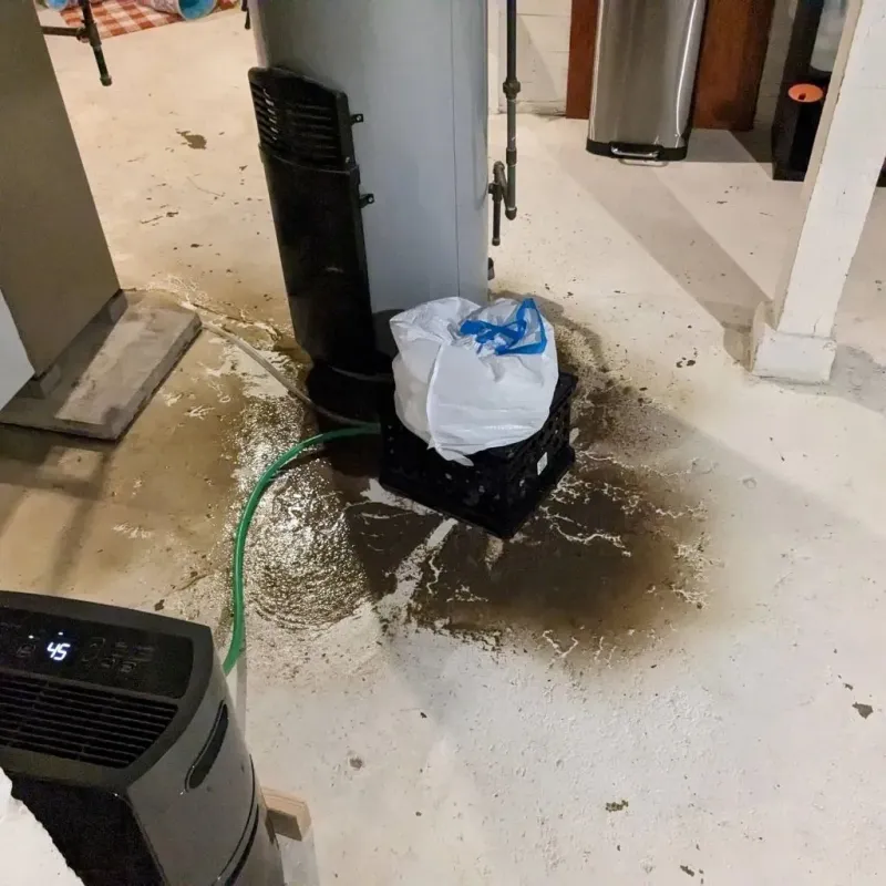 Sewage Backup Cleanup Service in Ballard County, KY